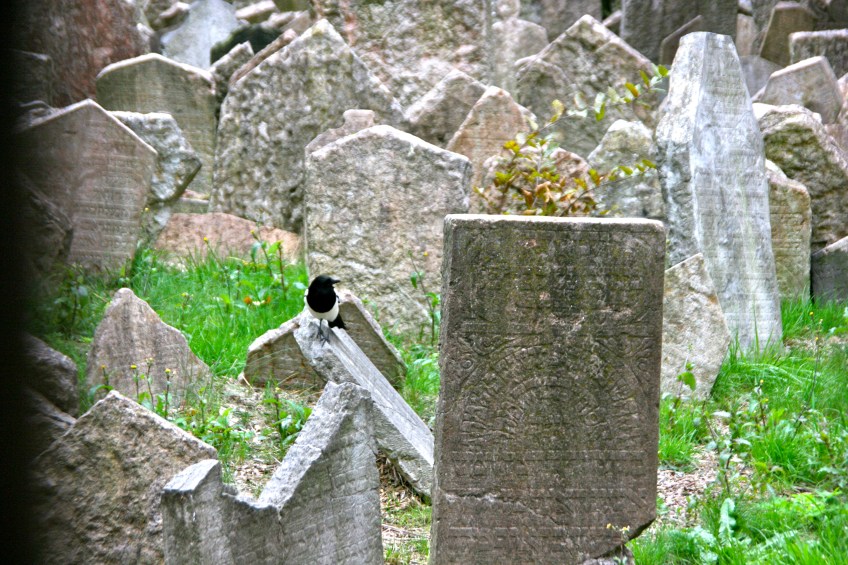 Old Jewish Cemetery Prague