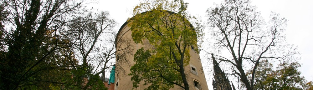 Prague Castle from Below, Stag Moat Pražský hrad