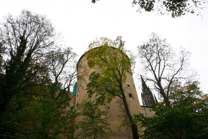 Prague Castle from Below, Stag Moat Pražský hrad