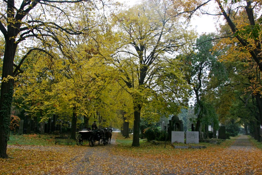 Zentralfriedhof, Central Cemetery, Vienna, Austria, Fall