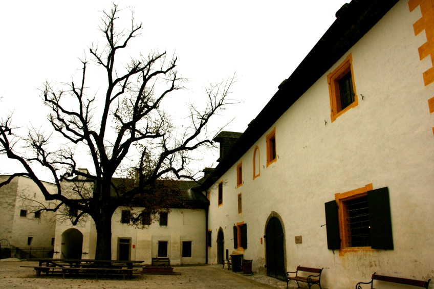 Hohensalzburg Castle Square, Salzburg, Austria, Fall, Tree