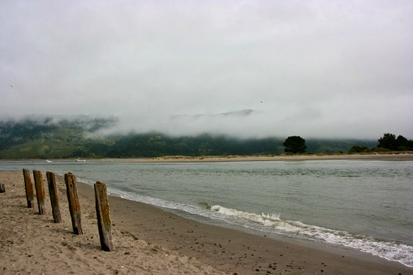 Home Bolinas