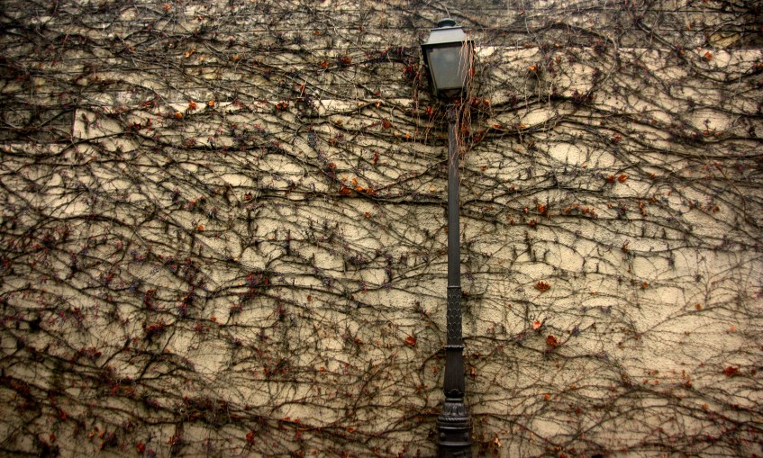 Paris Light Lamppost winter