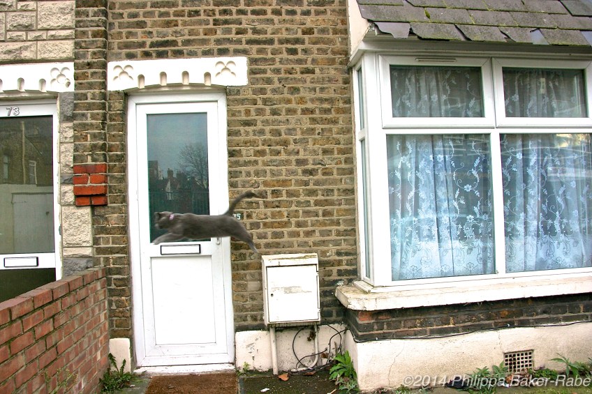 London Walthamstow Central