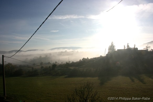 Mist over Lagorce Olive Oil Farm France